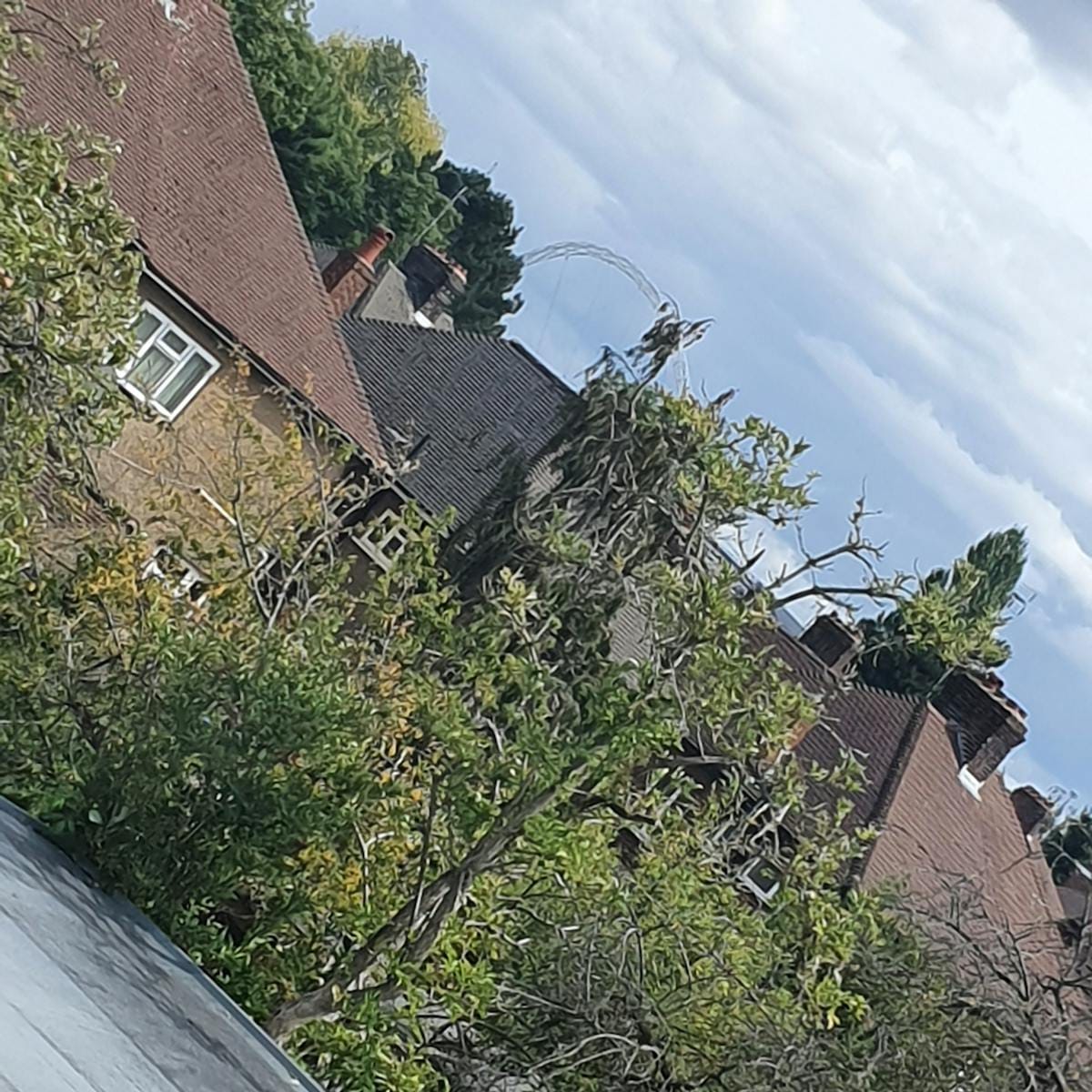 immigration risks for foreign entrepreneurs korea